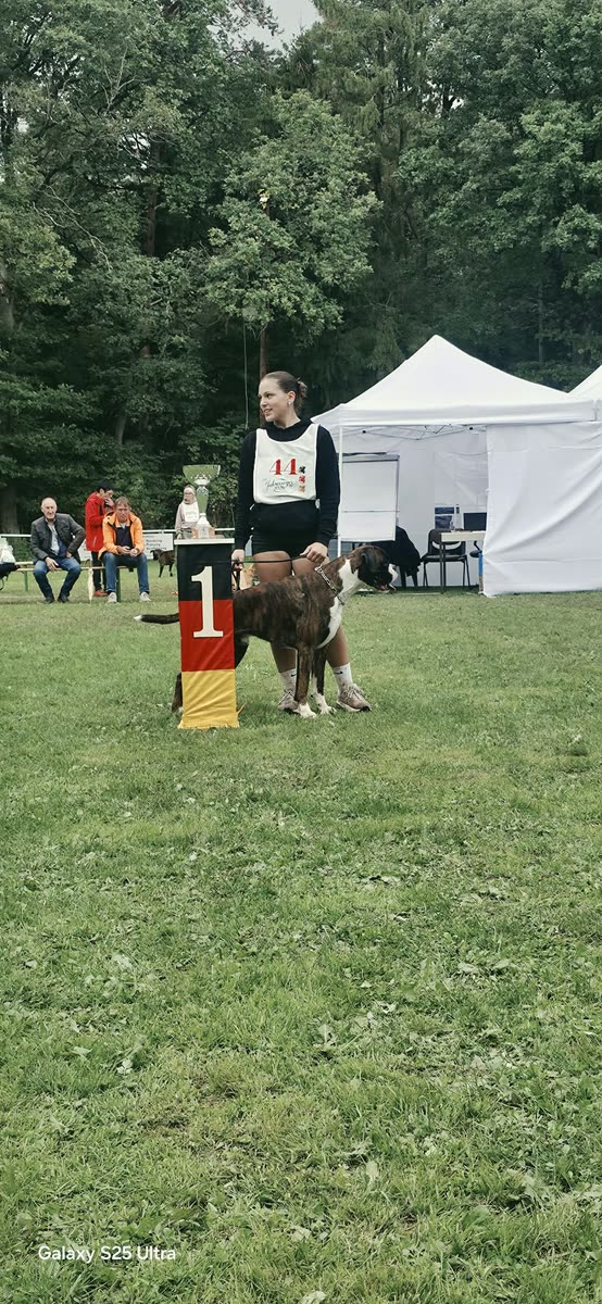Jahressieger 2026