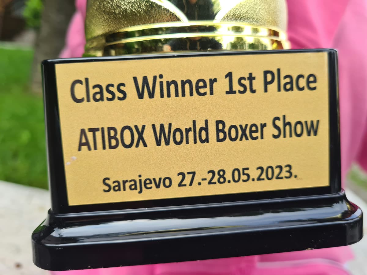 Sarajevo 2023