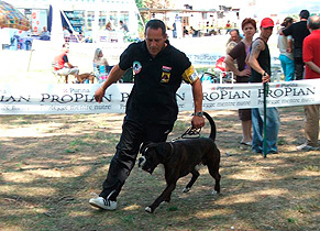 Expo