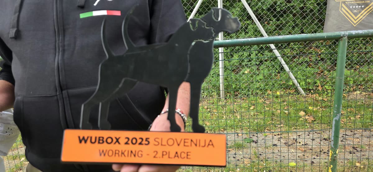 Slovenia 2025