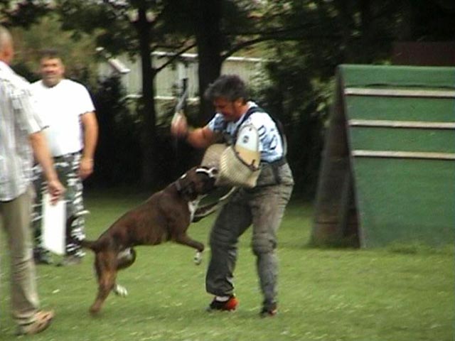 Morfeo