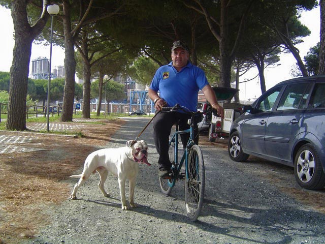 Poldo