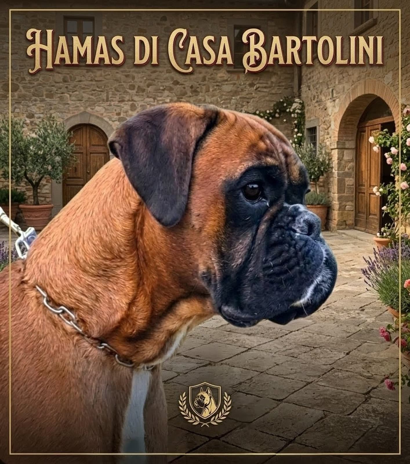 Locandina Casa Bartolini