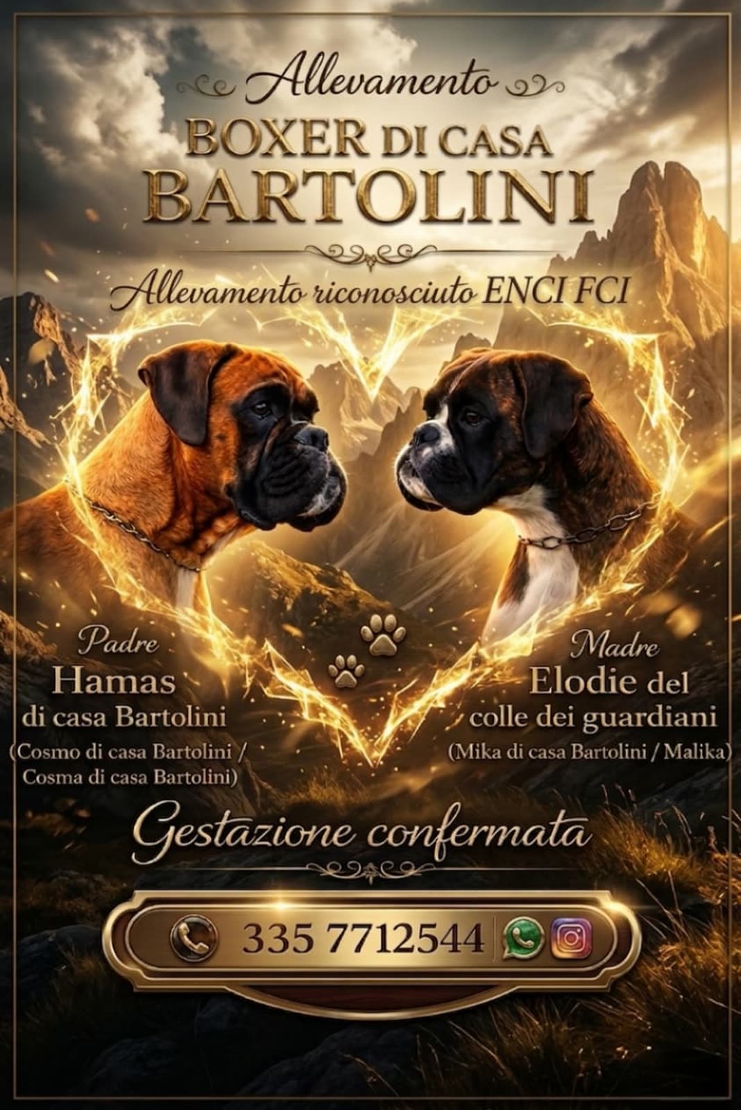 Locandina Casa Bartolini