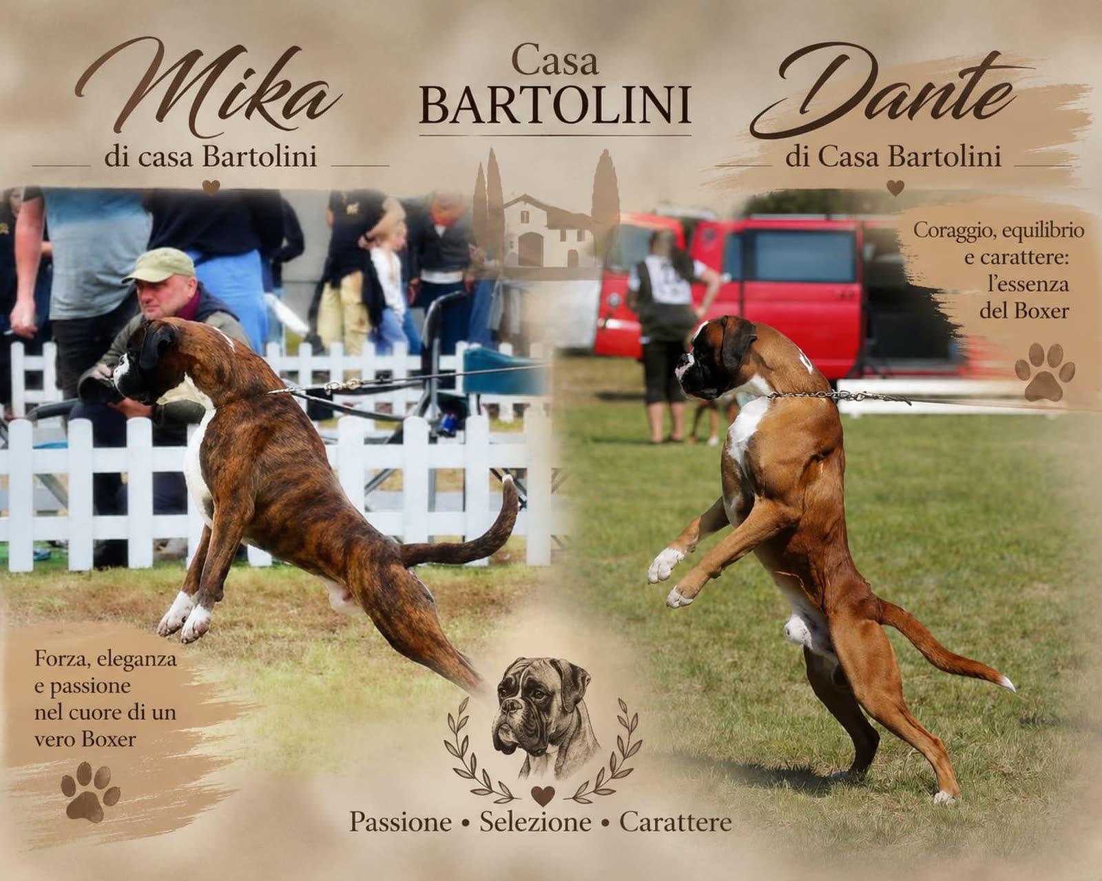 Locandina Casa Bartolini