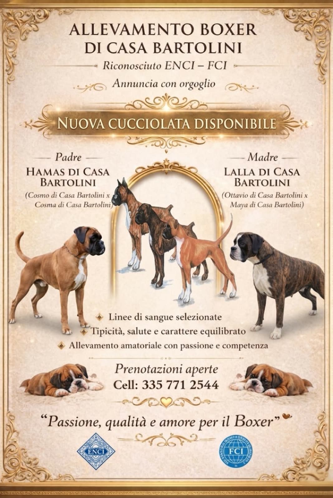 Locandina Casa Bartolini