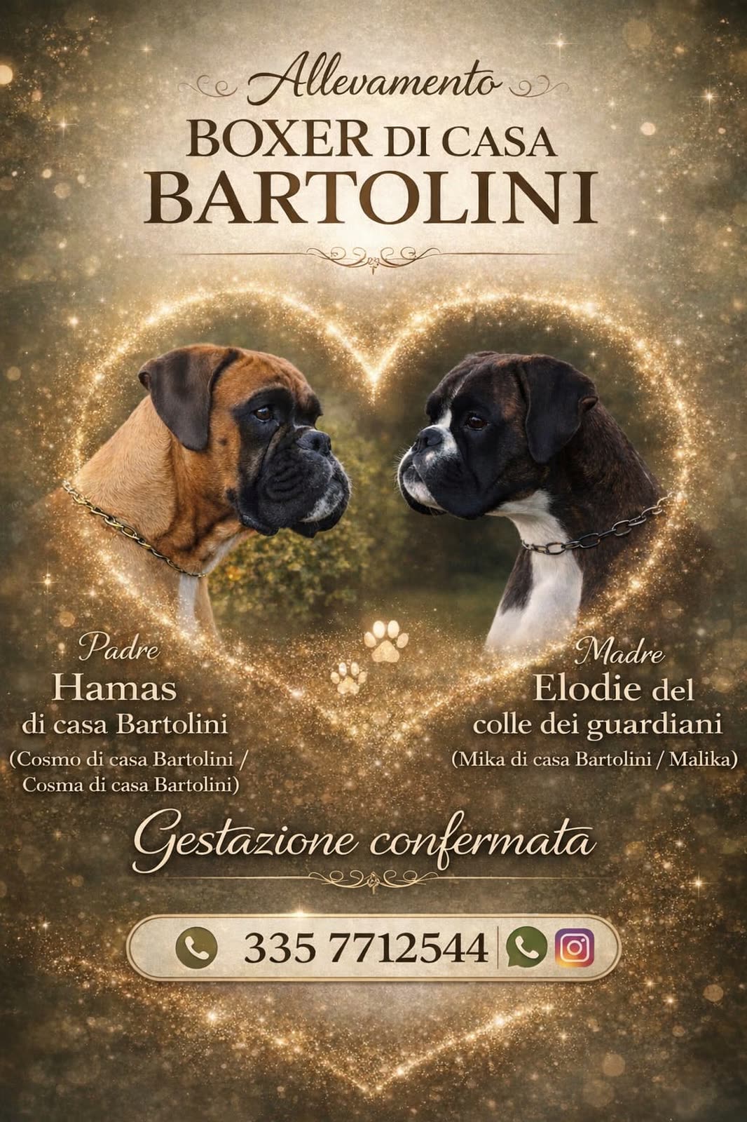Locandina Casa Bartolini