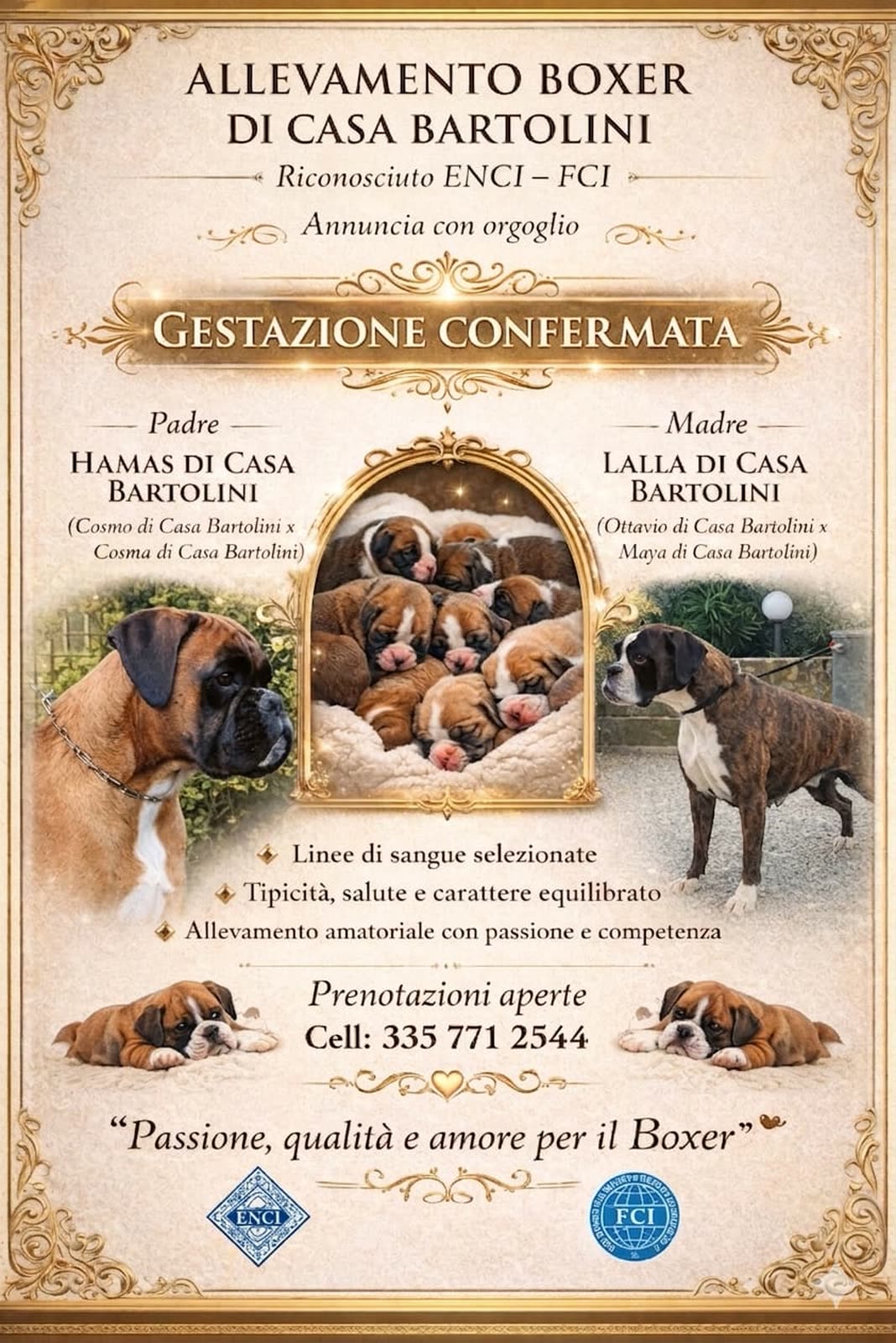 Locandina Casa Bartolini