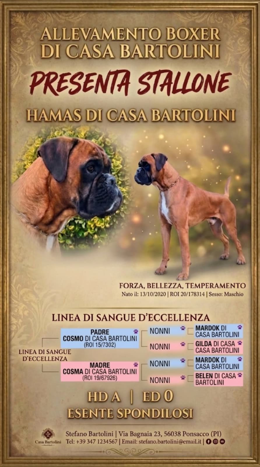 Locandina Casa Bartolini
