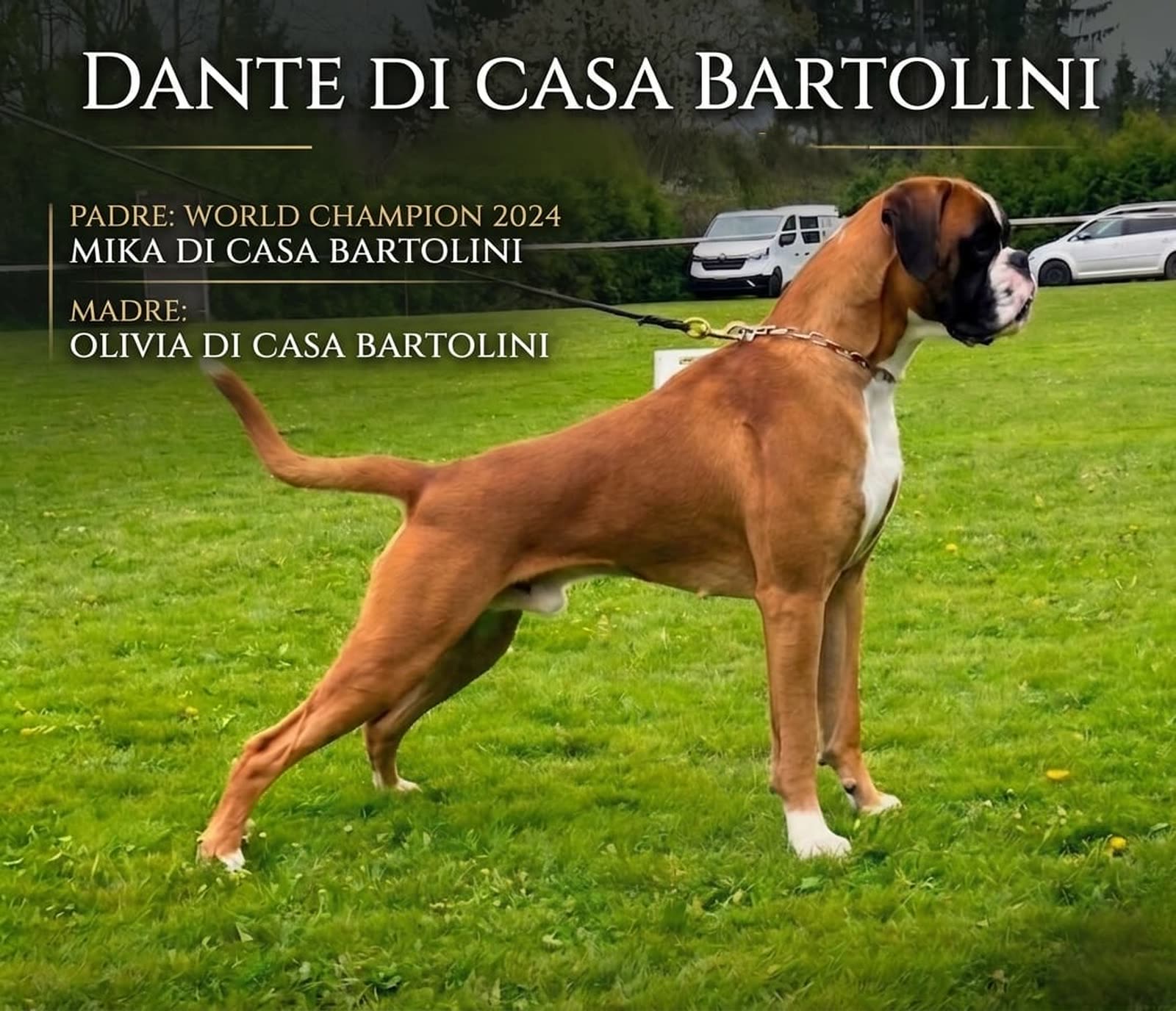 Locandina Casa Bartolini