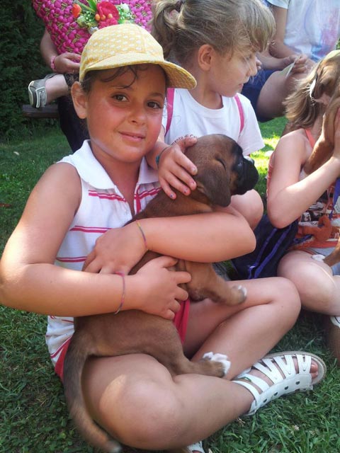 A scuola dal boxer