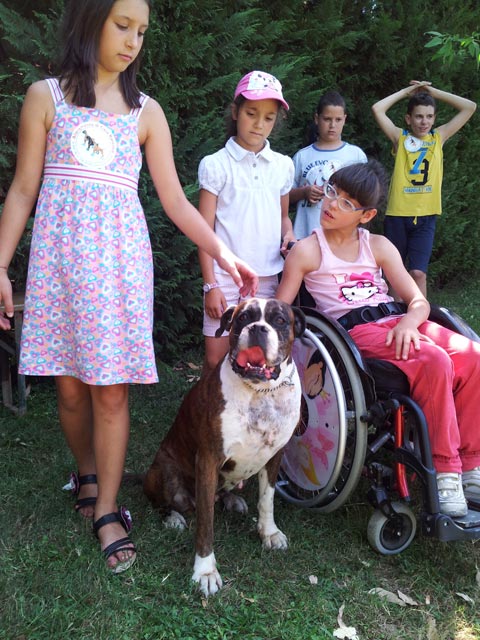 A scuola dal boxer
