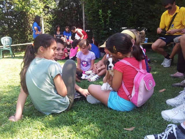 A scuola dal boxer