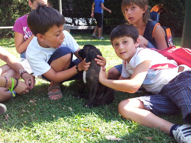 A scuola dal boxer