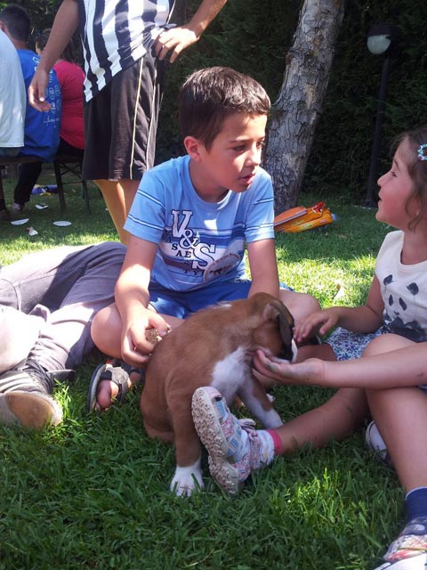 A scuola dal boxer