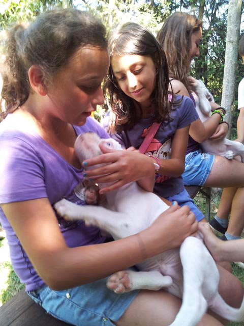 A scuola dal boxer