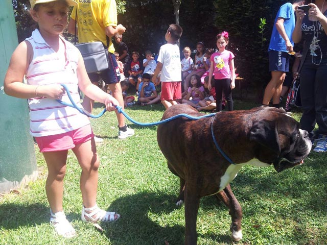 A scuola dal boxer