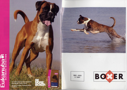 SBC Boxer