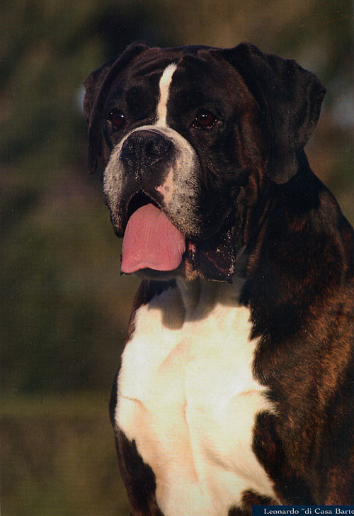 Anubi, Novembre 2005