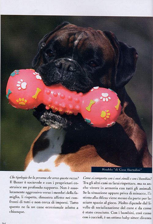 Anubi, Novembre 2005