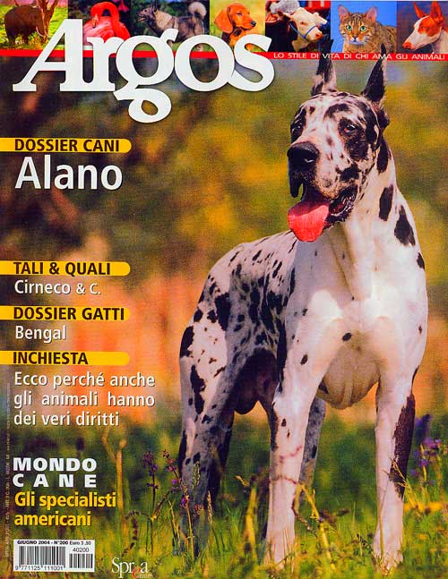 Argos, Giugno 2004