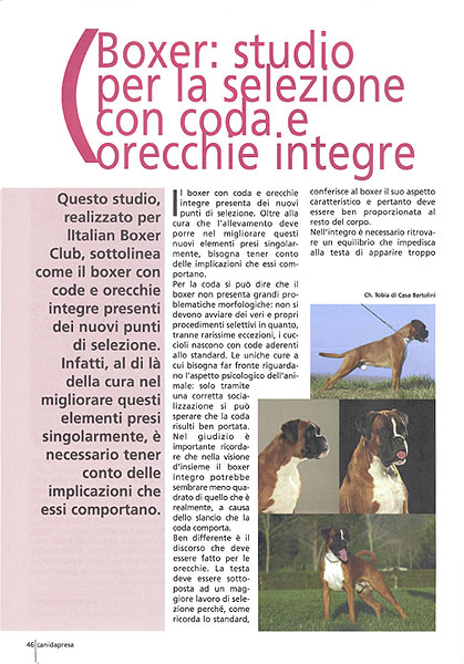 Canidapresa
