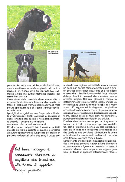Canidapresa Magazine, Maggio-Giugno 2007