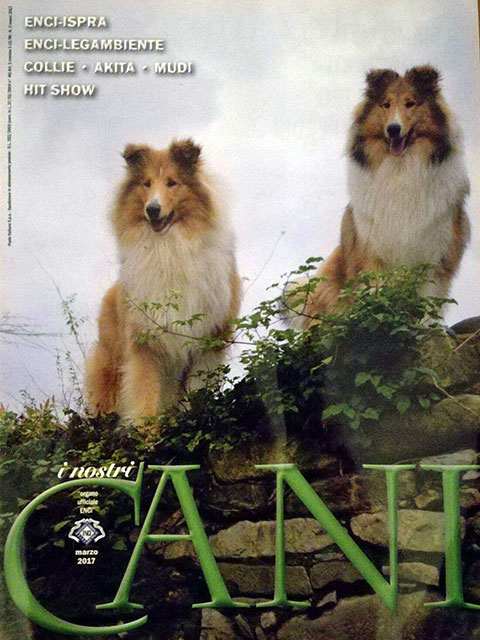 I nostri cani, Marzo 2017