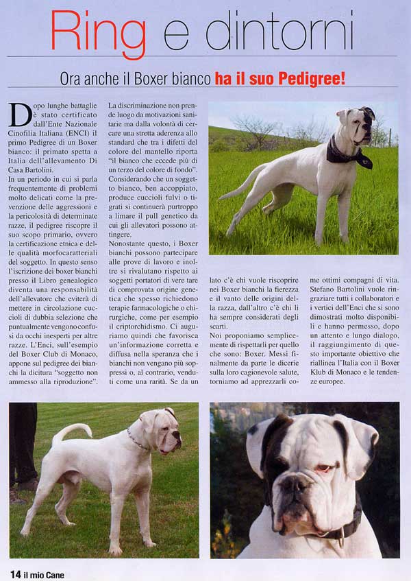 Il mio Cane