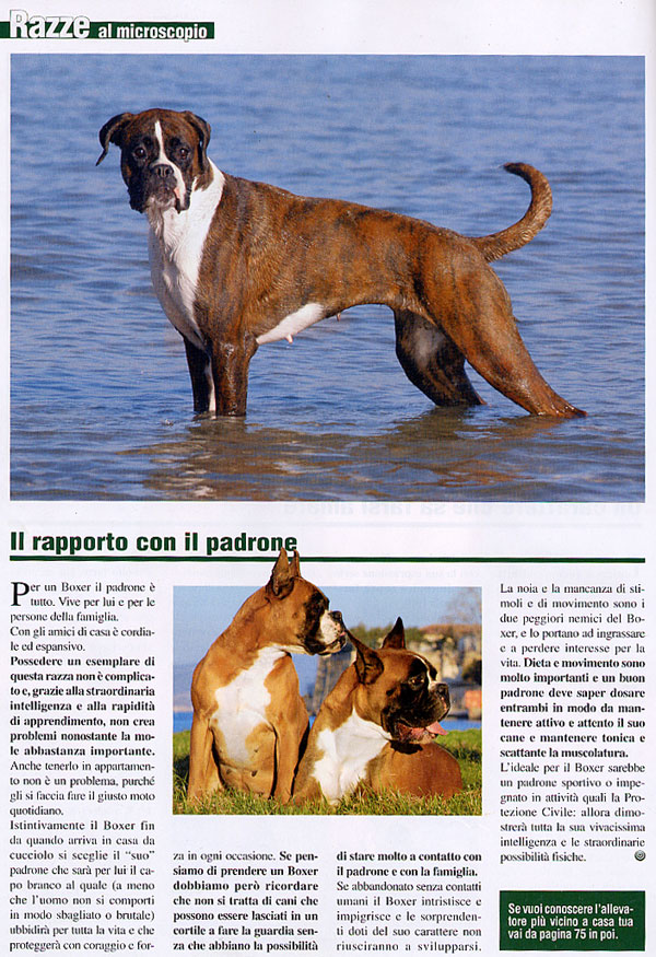Il mio cane, Febbraio 2007