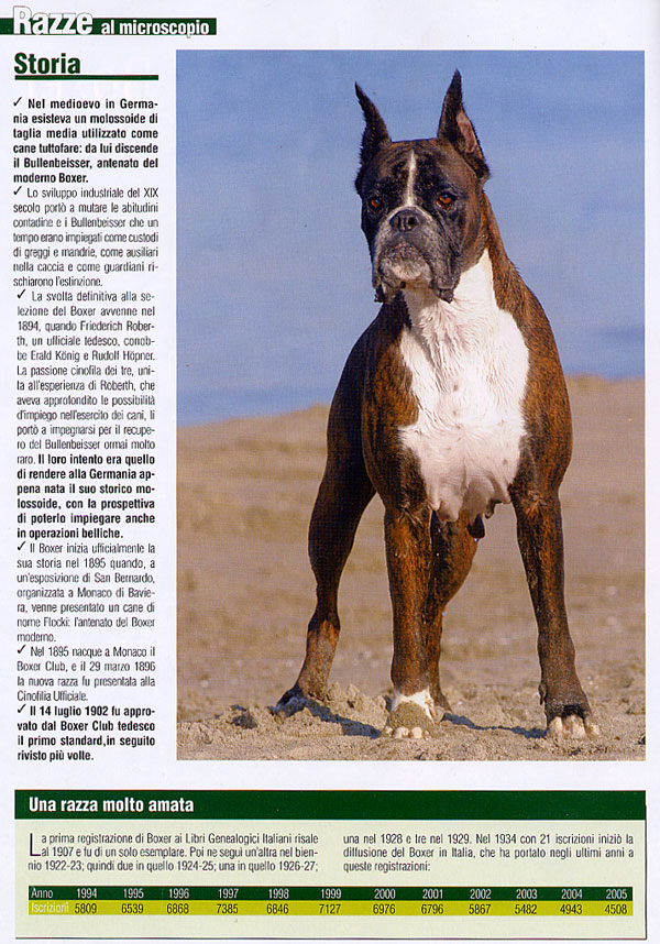 Il mio cane, Febbraio 2007