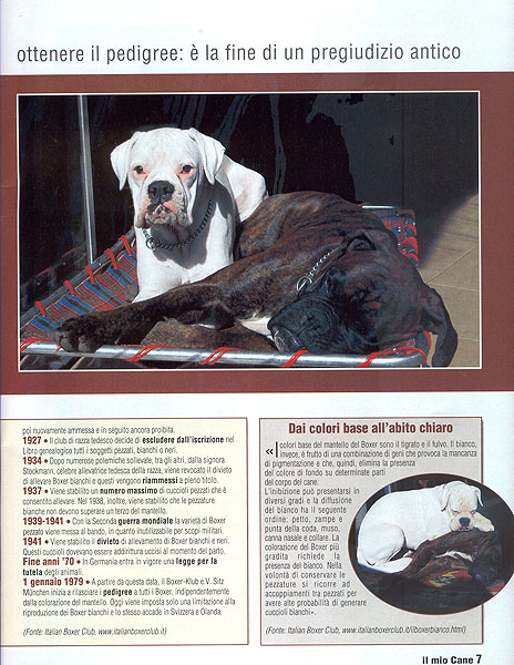 Il mio cane, Marzo 2005