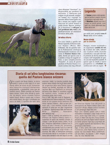 Il mio cane, Marzo 2005