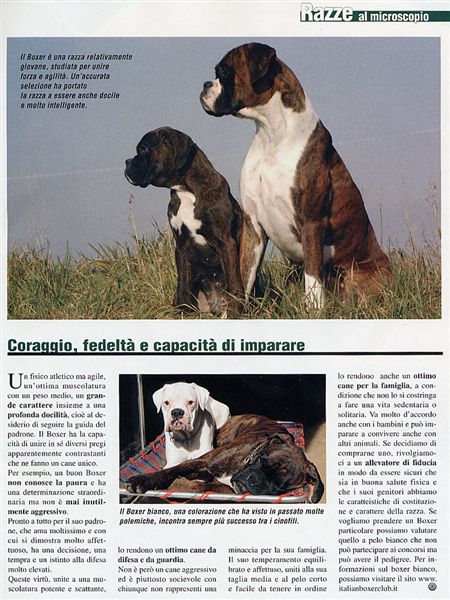 Il mio cane, Agosto 2005