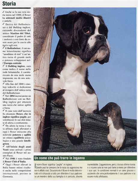 Il mio cane, Agosto 2005