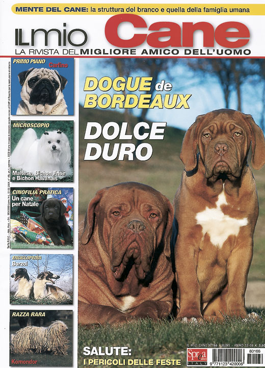 Il mio cane, Dicembre 2008