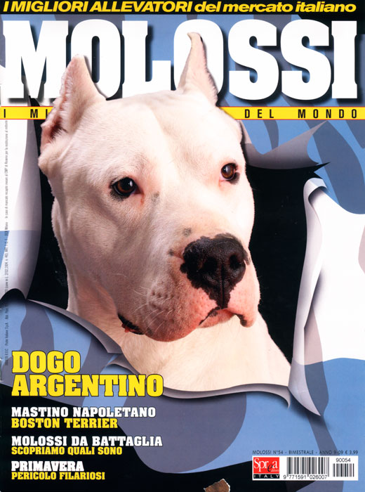 Molossi, Gennaio-Febbraio 2009