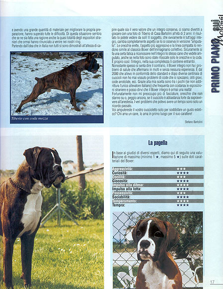 Molossi, Giugno-Luglio 2004