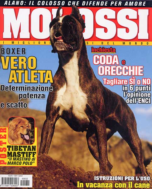 Molossi