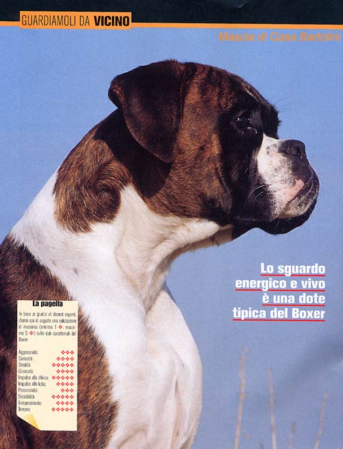 Molossi, Giugno-Luglio 2005