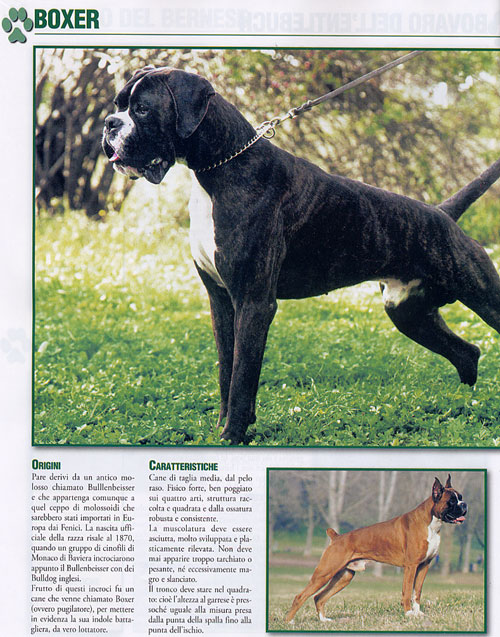 Razze, 2006