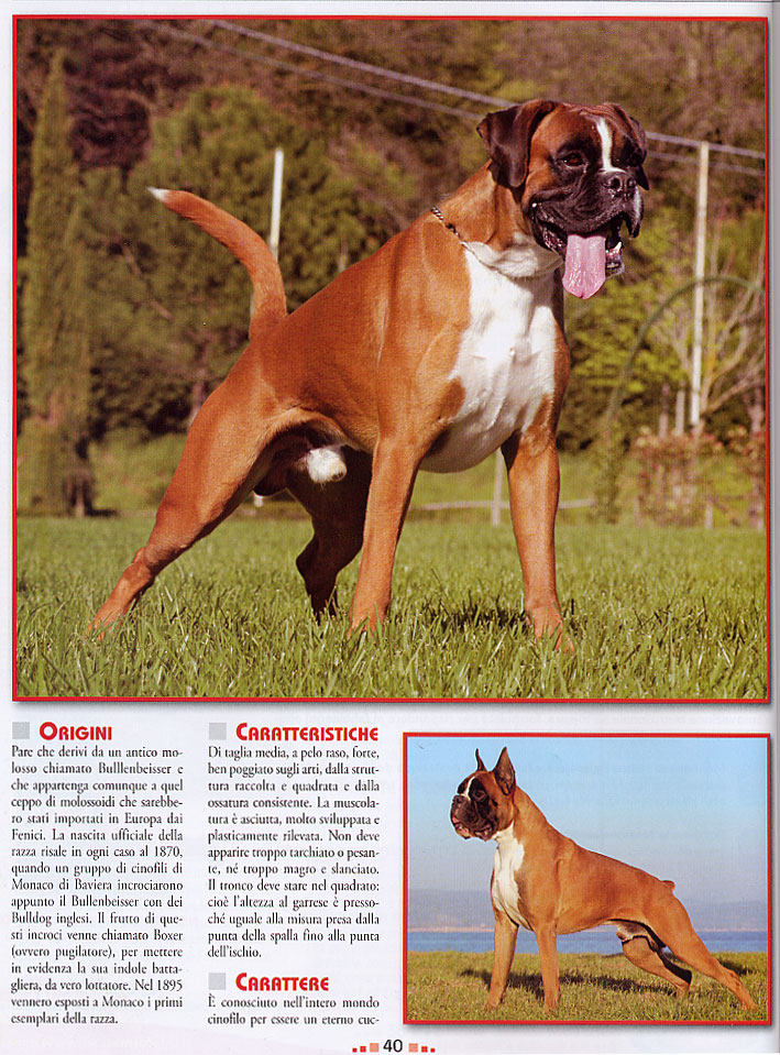 Razze