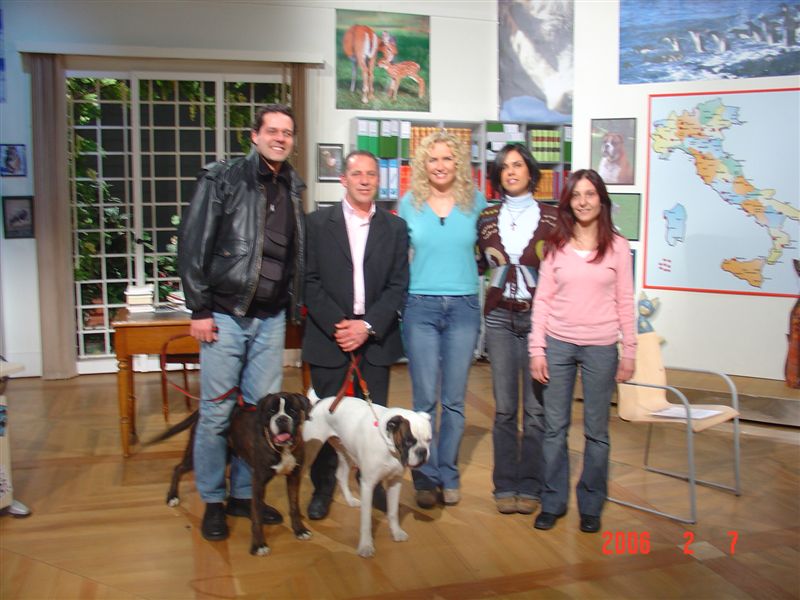 Rai 3, 2006