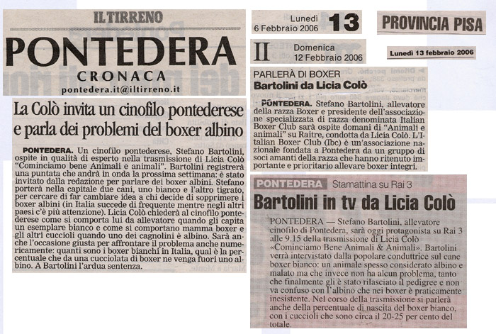 La rivincita del Boxer Bianco