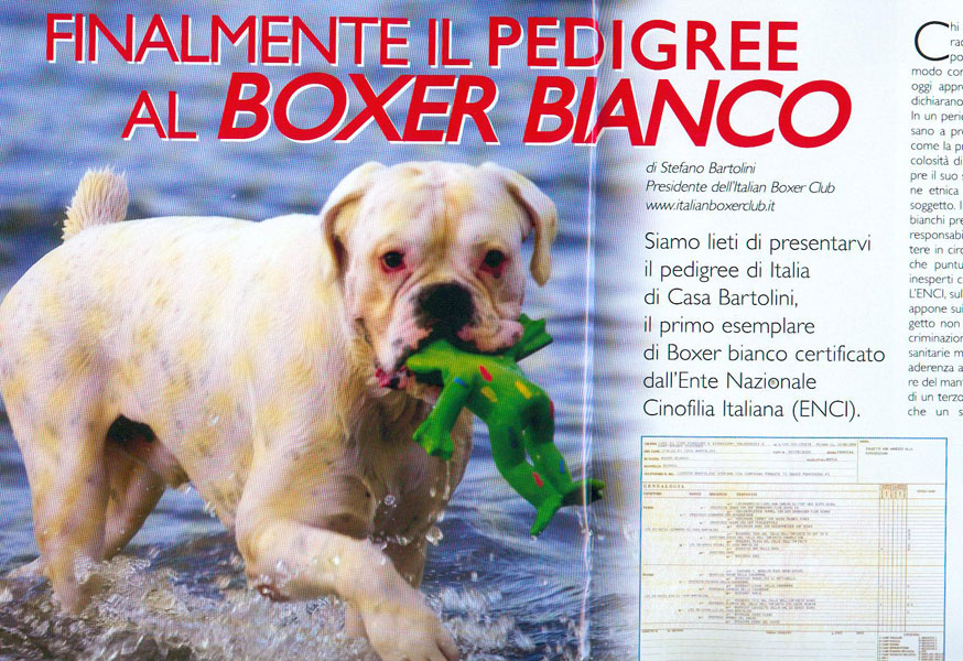 Romolo