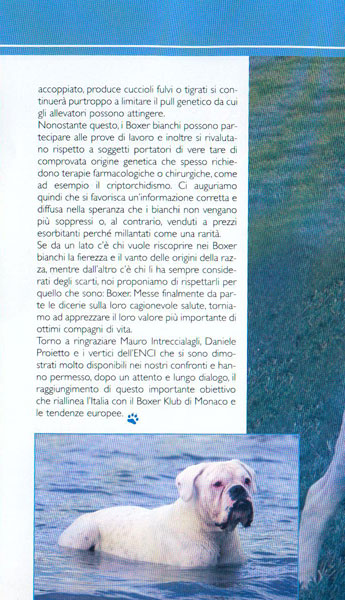 Romolo, Ottobre 2006