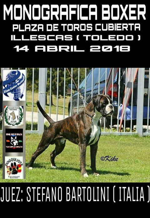 Stefano Bartolini giudice a Illescas (Toledo)