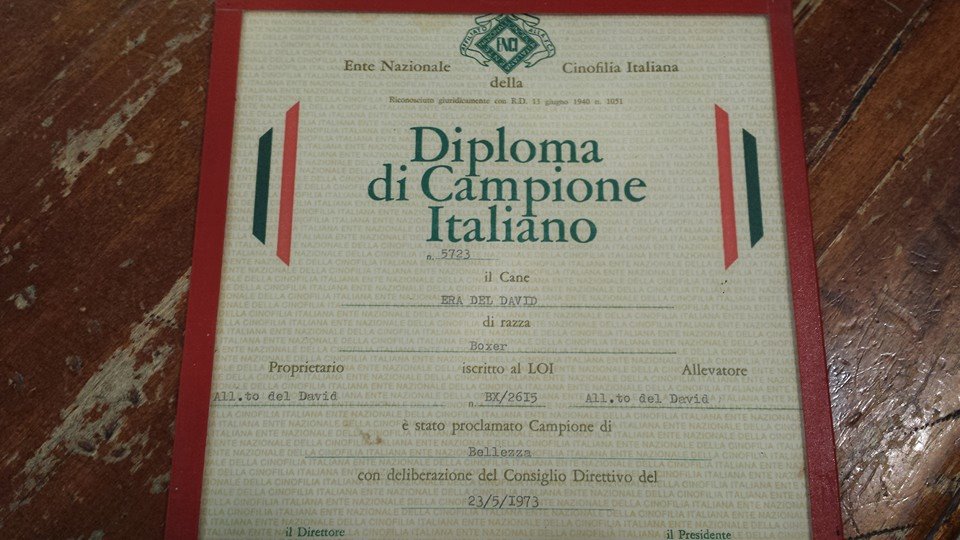 Origini Casa Bartolini