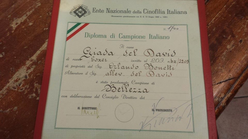 Origini Casa Bartolini