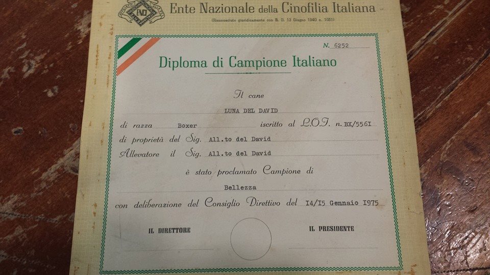 Origini Casa Bartolini